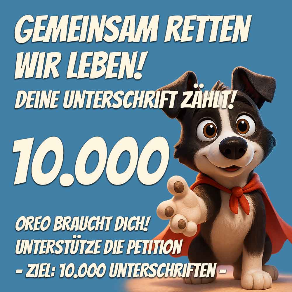 shelter-hunde-unterstutzen-mit-krypto